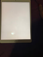ipad mini 1C55
