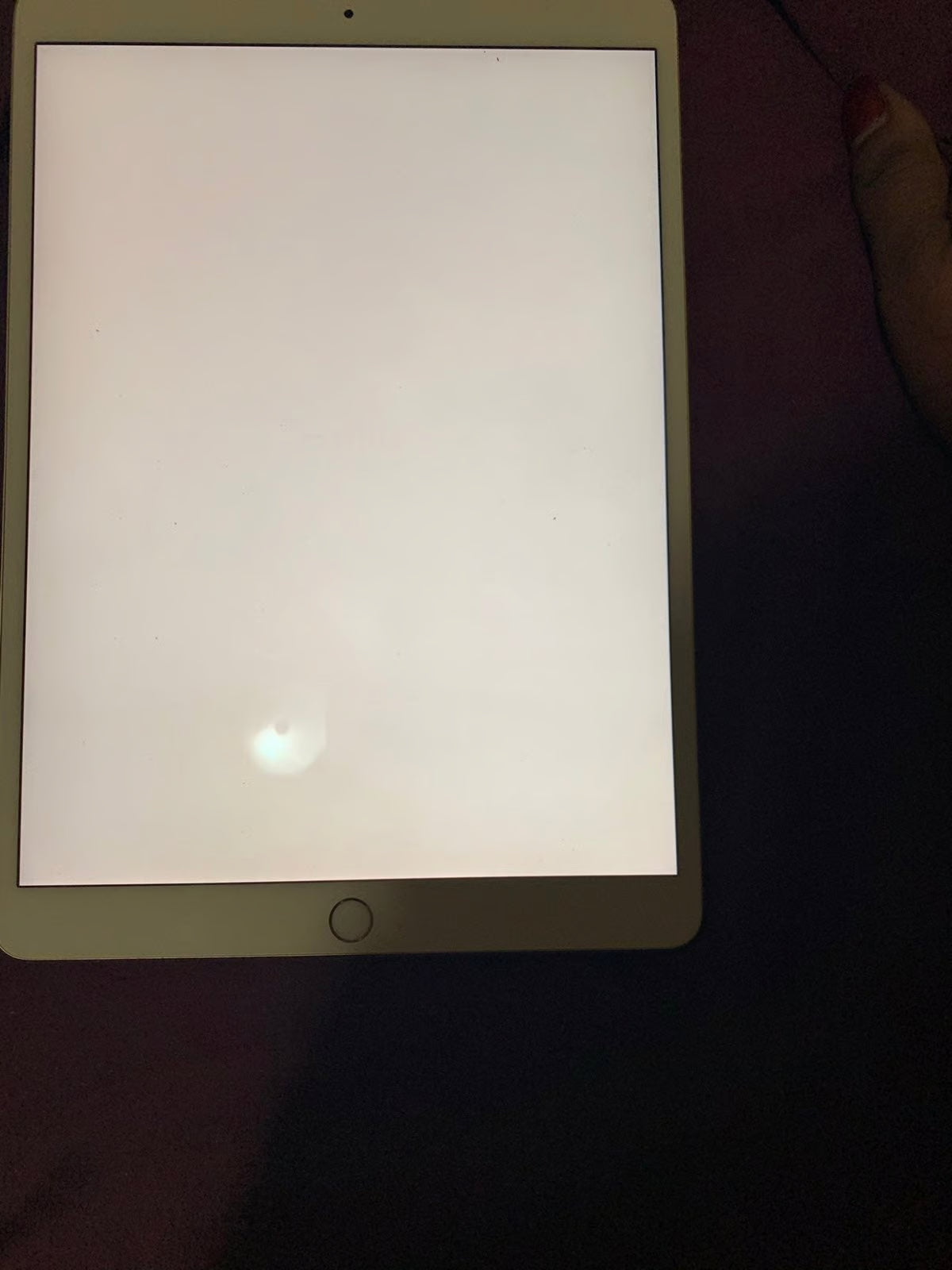 ipad mini 1C55