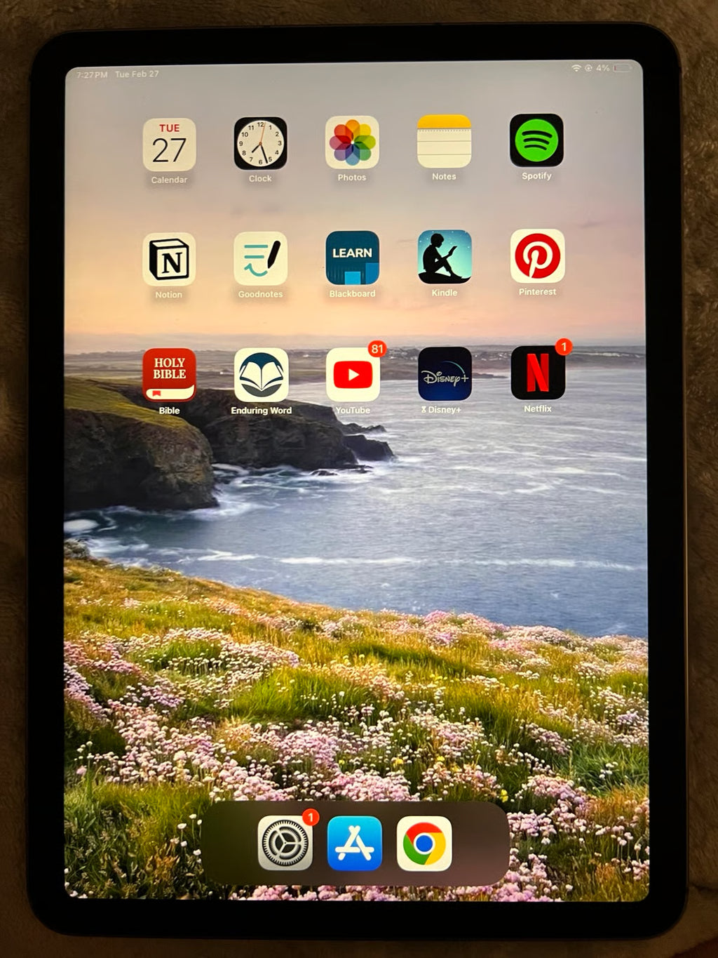 iPad Air 4th Gen with Apple Pencil 2nd Gen 3G73