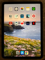 iPad Air 4th Gen with Apple Pencil 2nd Gen 3G73