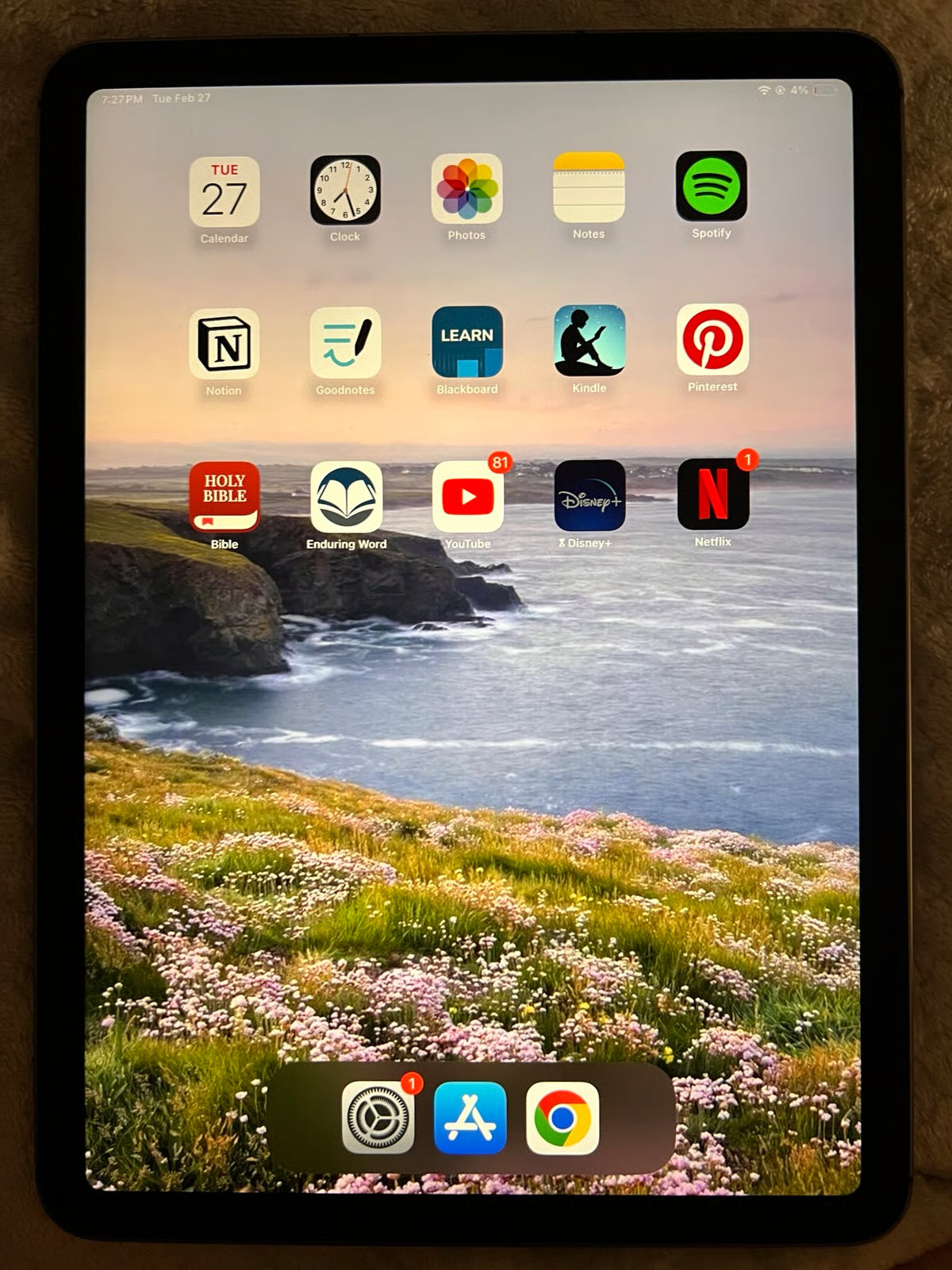 iPad Air 4th Gen with Apple Pencil 2nd Gen 3G73