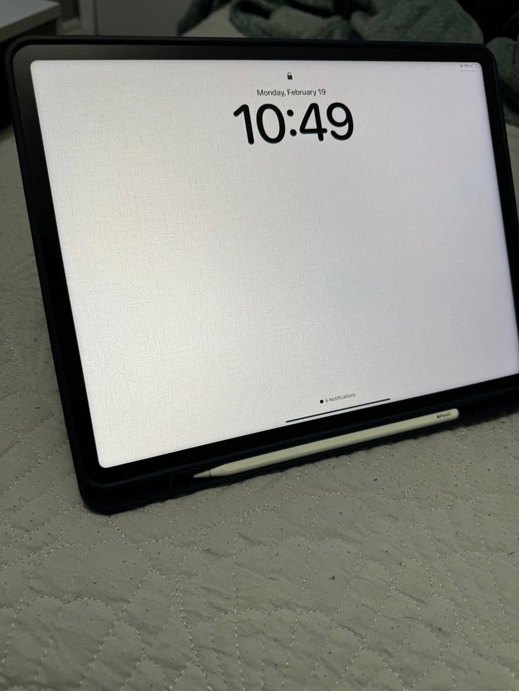 iPad Pro 12.9 inch 5E21