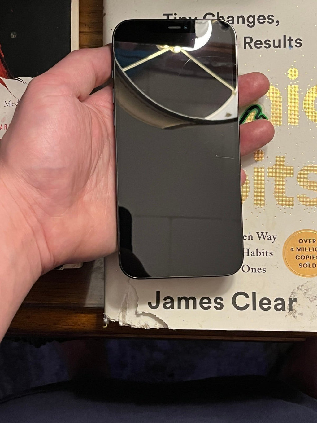 Unlocked iPhone 12 Pro Max 256 GB in Pacific Blue 6R51