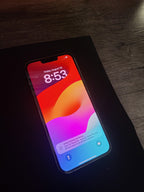 Apple iPhone 13 Pro Max 256 GB in Silver for AT&T 6F65