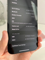 iphone 13 pro max 6S51