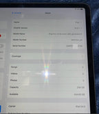 iPad Pro 12.9 4th gen 256GB Unlocked 8C76