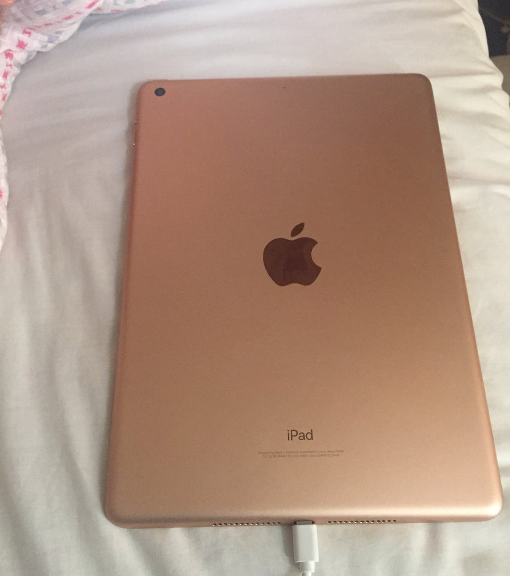 iPad Mini 5Q29