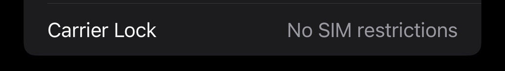 Apple iPhone 13 Pro Max 256 GB in Sierra Blue 1N66