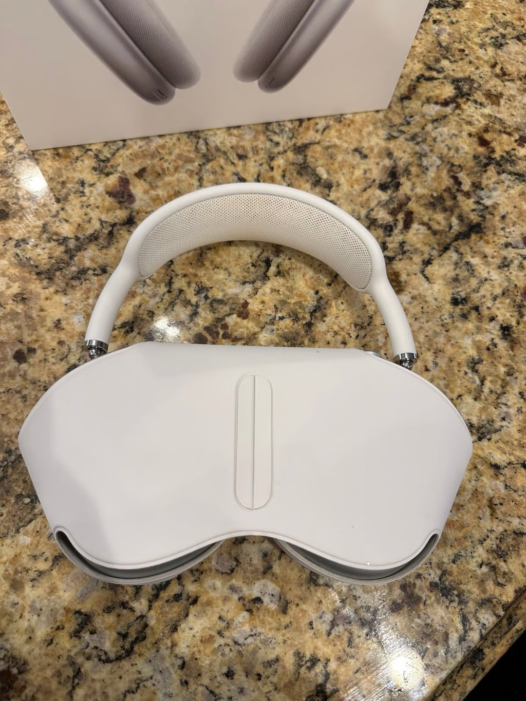 Apple AirPods Max sikver with three cases 8A16