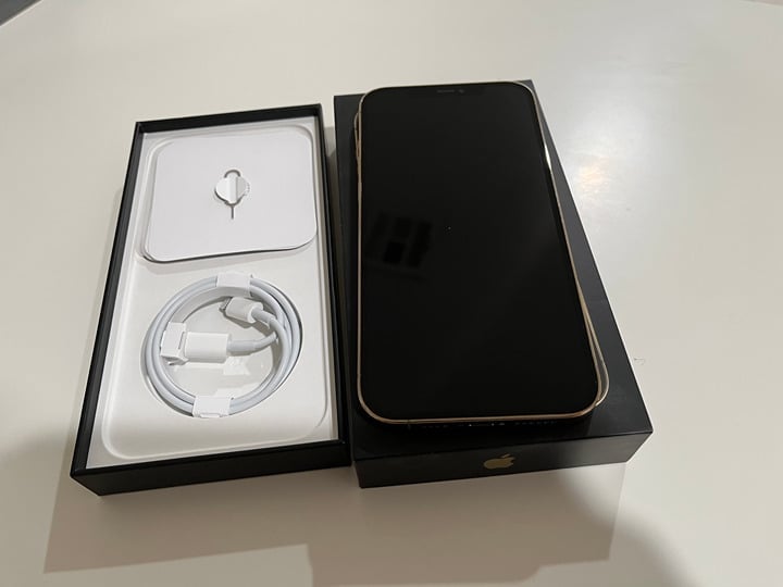 Apple iPhone 12 Pro Max - 256GB - Gold Unlocked 9N73