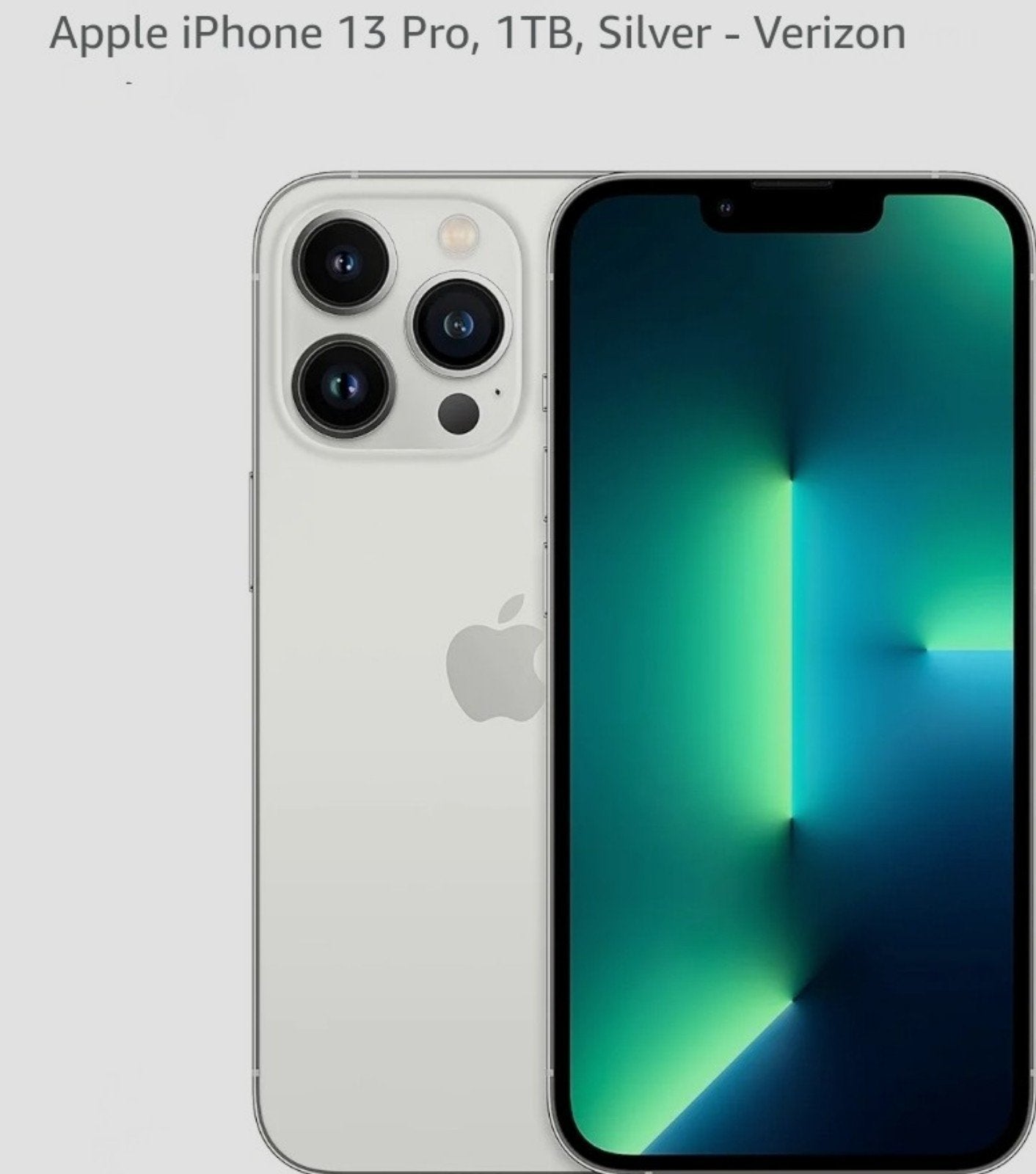 Apple iPhone 13 Pro Max 1 TB in Silver for Verizon 1C13