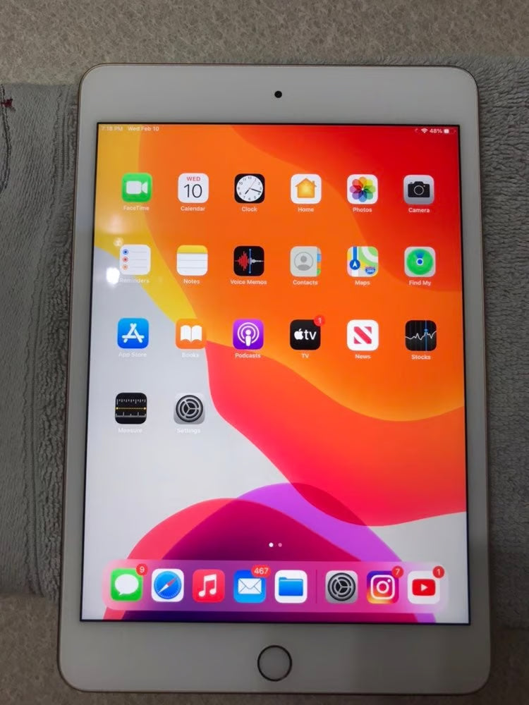 Ipad mini gen 5 6P22