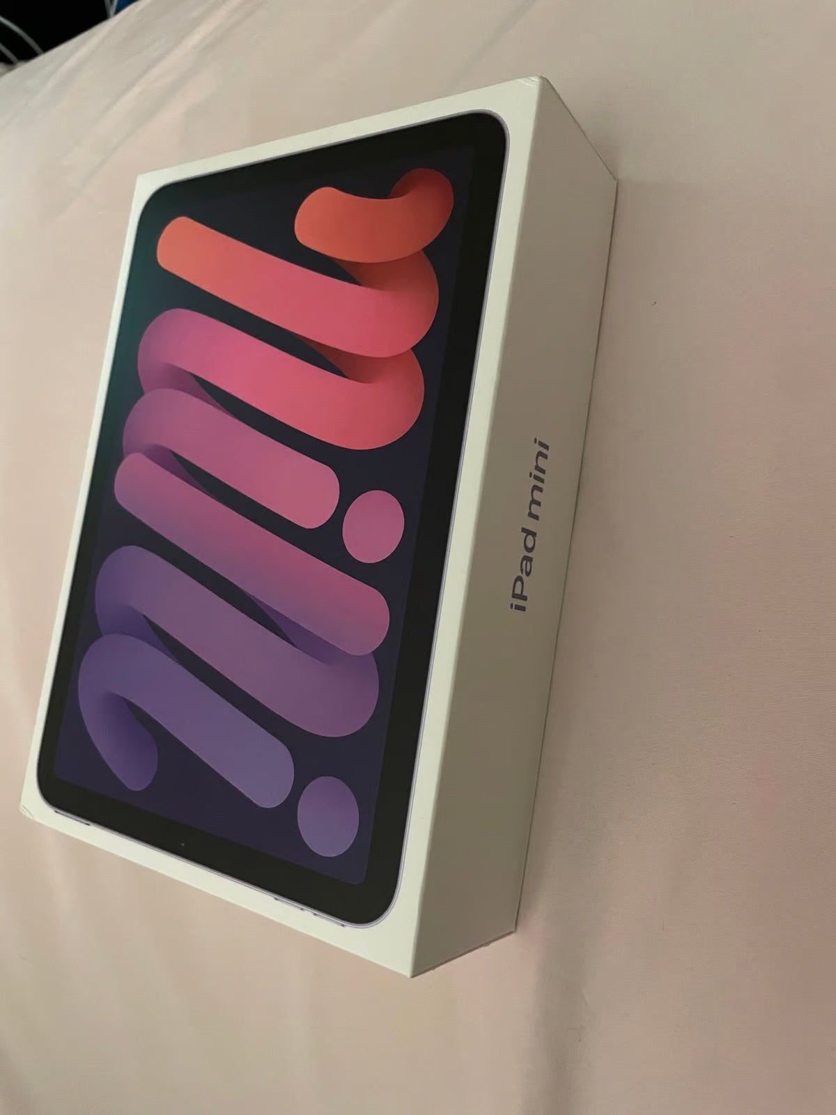 Apple iPad Mini 6th Generation 256 GB in Purple 5Q89