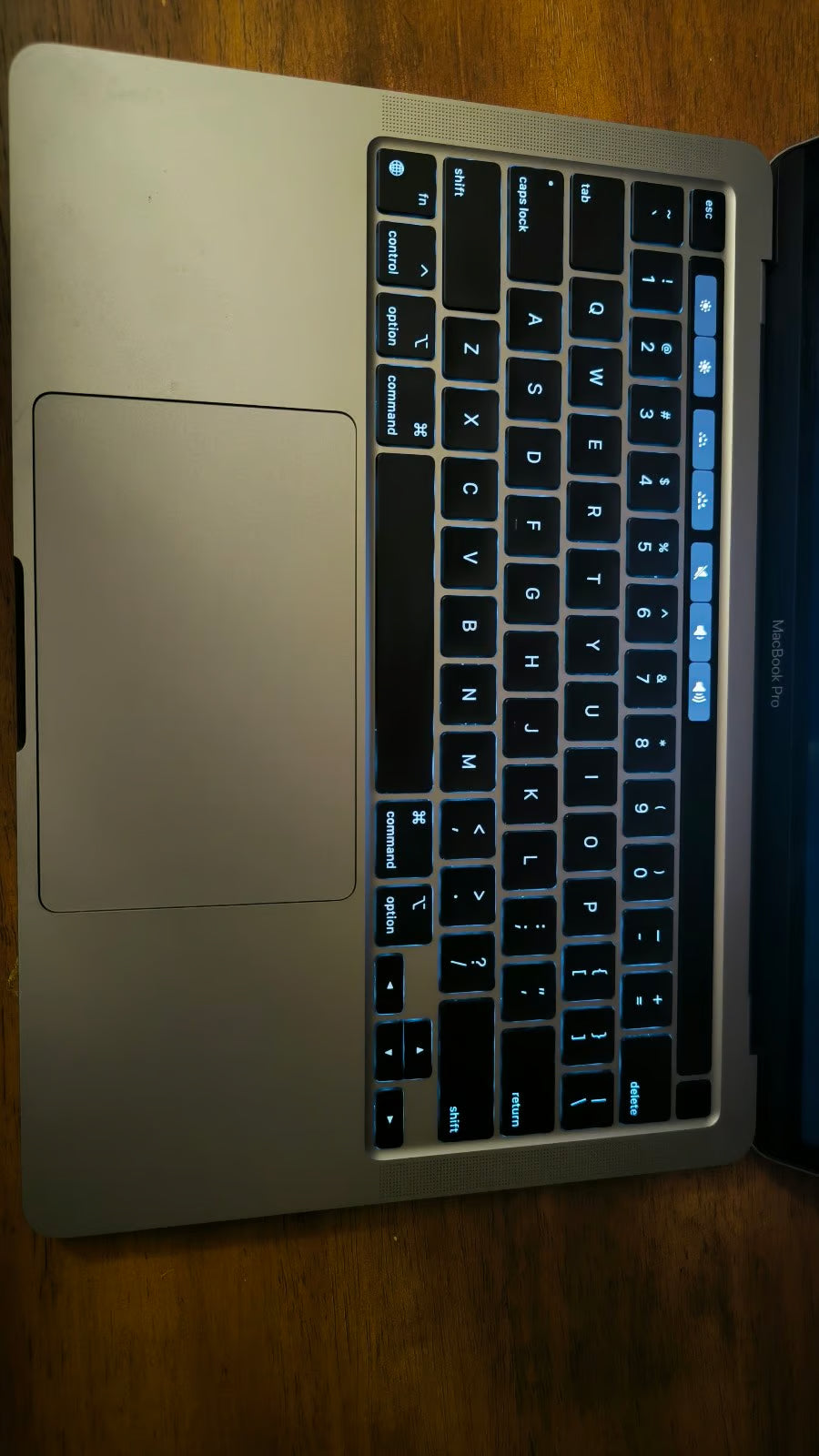 MacBook Pro (M2 Processor) 500GB Storage 8R13