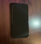 iPhone 13 Pro 128 GB Graphite UNLOCKED 100% Battery Health 1P76