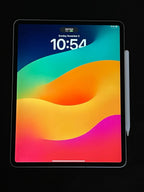 Apple iPad Pro 3rd Generation 12.9-inch Silver 256GB WiFi + Cellular Unlocked 8P81