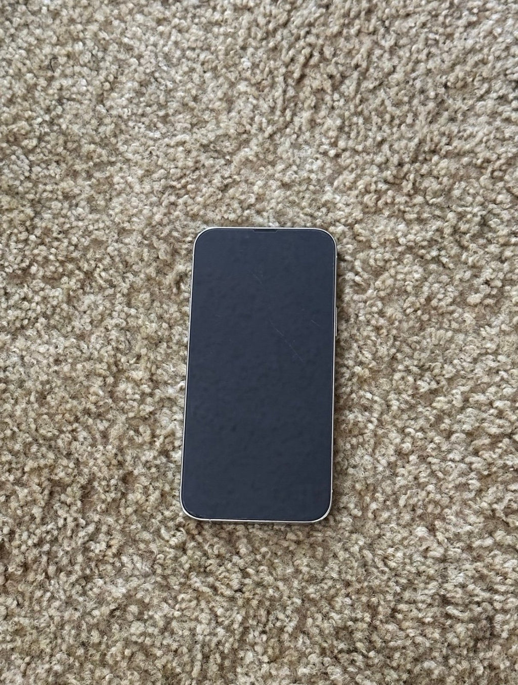 Apple iPhone 13 Pro Max 5O99