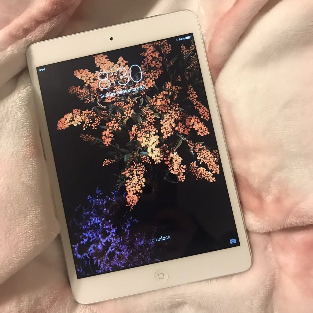 iPad Mini -- GREAT Condition 2D23