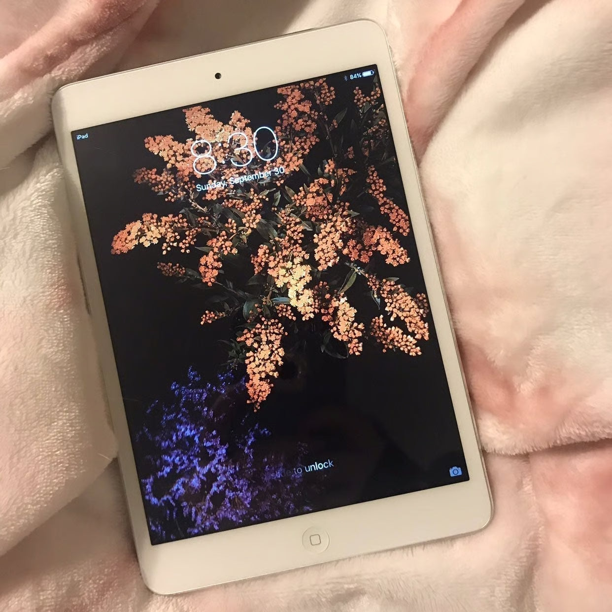 iPad Mini -- GREAT Condition 2D23